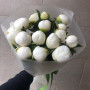 15 белых пионов — вид 2