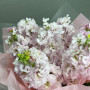 7 розовых маттиол — вид 2
